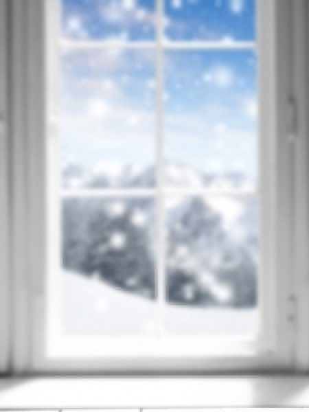 Image depicts a window with a view of a snowy landscape.
