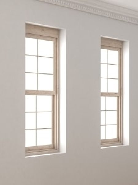 Image depicts two single hung windows.