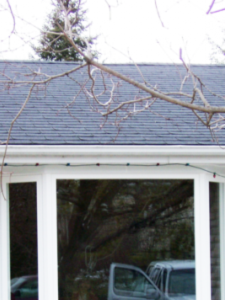 Image depicts vinyl windows in a Winnipeg home.