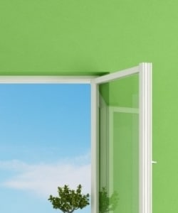 Image depicts a well maintained vinyl window.