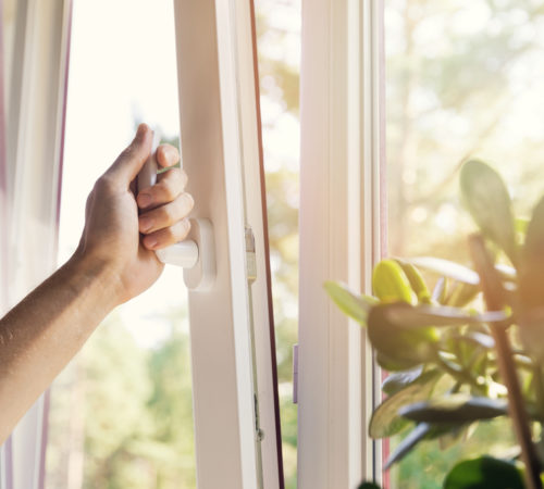 energy efficient windows save money