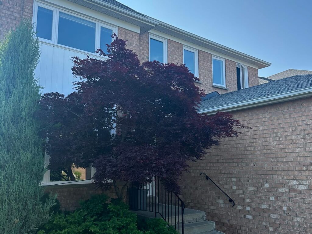 Whole house windows replacement