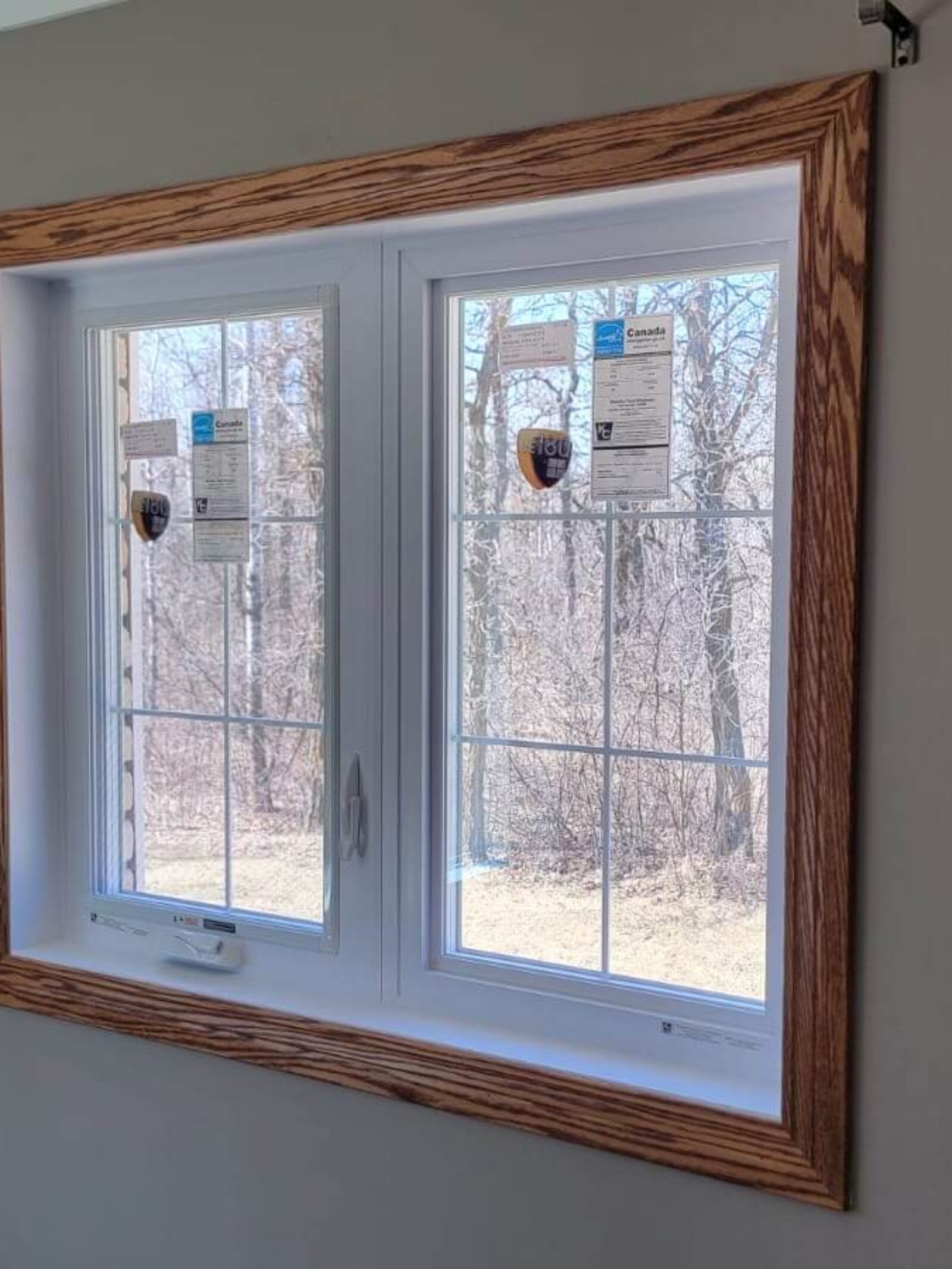 energy efficient window replacements Oak Bluff