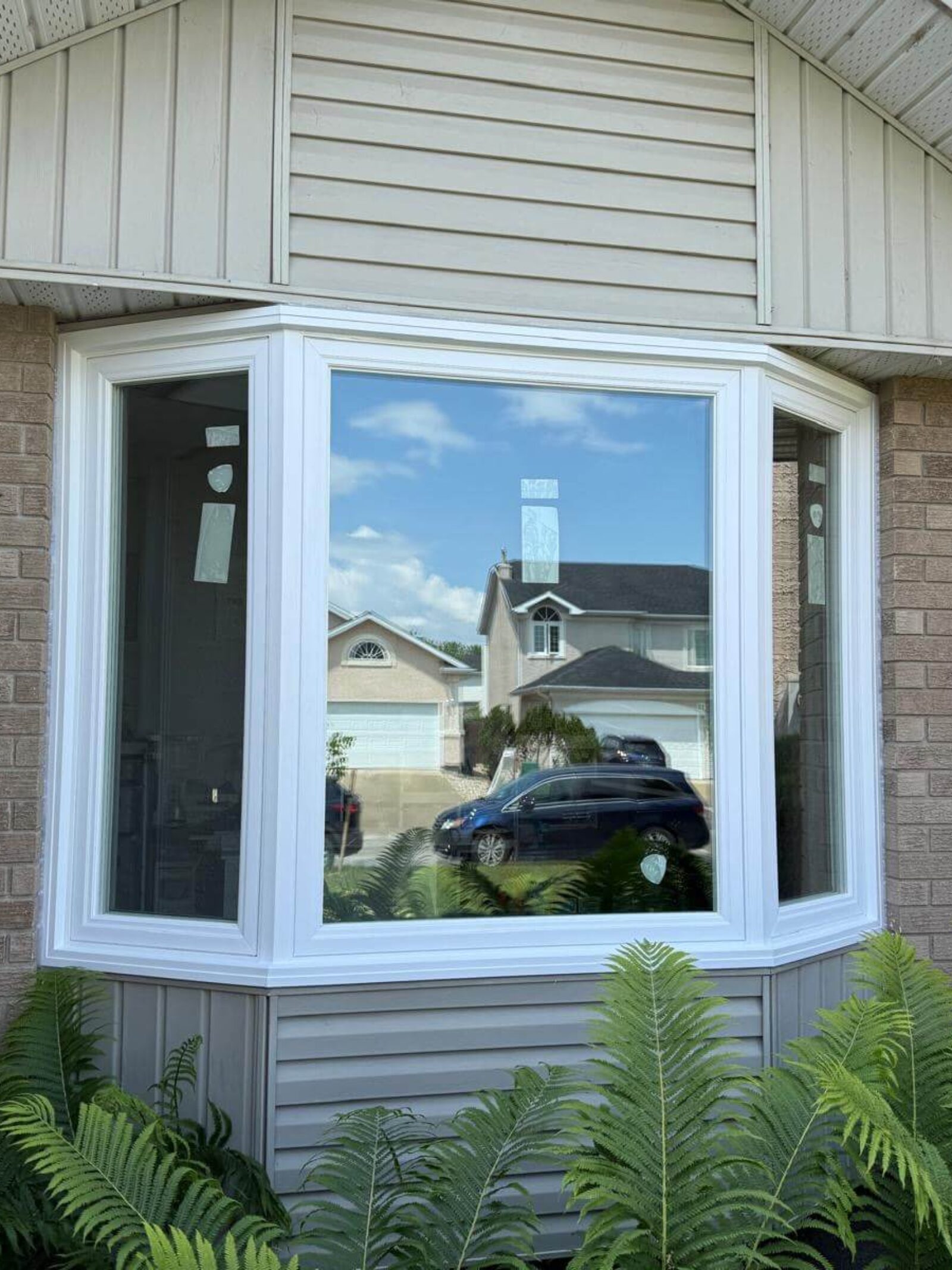 insulated home windows