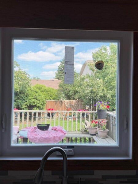 energy efficient window replacements stony mountain